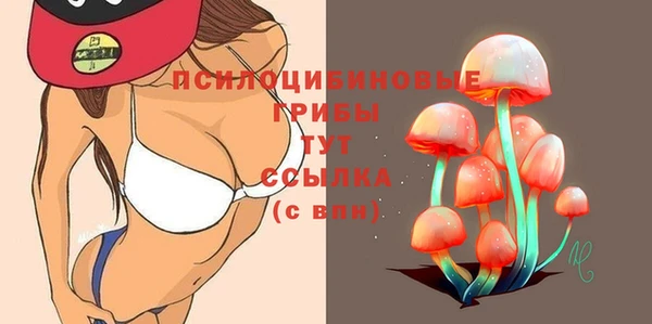 Альфа ПВП Домодедово