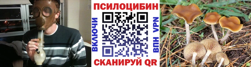 купить наркотик  Владикавказ  Галлюциногенные грибы Magic Shrooms 