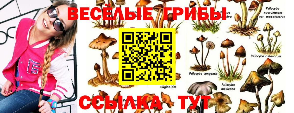 Галлюциногенные грибы Cubensis  Владикавказ 