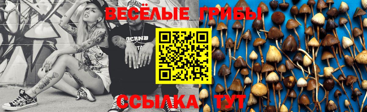 Псилоцибиновые грибы GOLDEN TEACHER Владикавказ