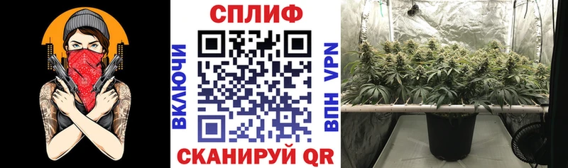 blacksprut tor  Владикавказ  МАРИХУАНА индика 